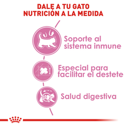 Royal Canin Felino Mother & Babycat - Cani Delights
