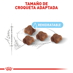 Royal Canin Felino Mother & Babycat - Cani Delights