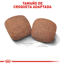 Royal Canin Giant Adult - Cani Delights