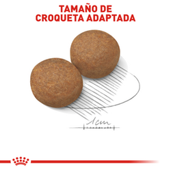 Royal Canin Large Adult - Cani Delights