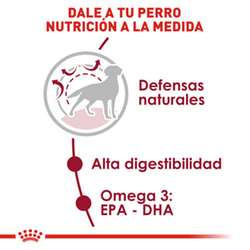 Royal Canin Medium Adulto - Cani Delights