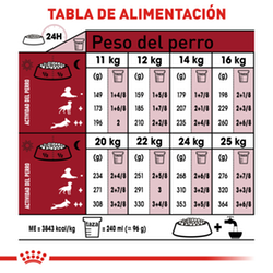 Royal Canin Medium Adulto - Cani Delights