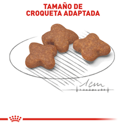 Royal Canin Small Mature +8 - Cani Delights