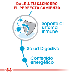 Royal Canin Small Puppy - Cani Delights