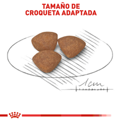 Royal Canin Small Puppy - Cani Delights