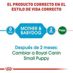 Royal Canin Small Starter Mother & Baby - Cani Delights