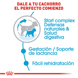 Royal Canin Small Starter Mother & Baby - Cani Delights