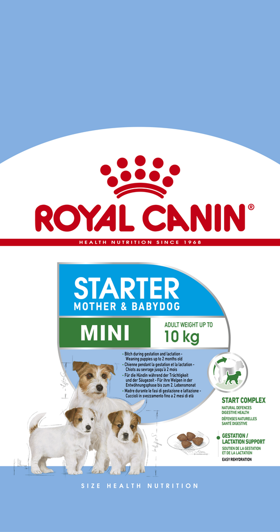 Royal Canin Small Starter Mother & Baby - Cani Delights