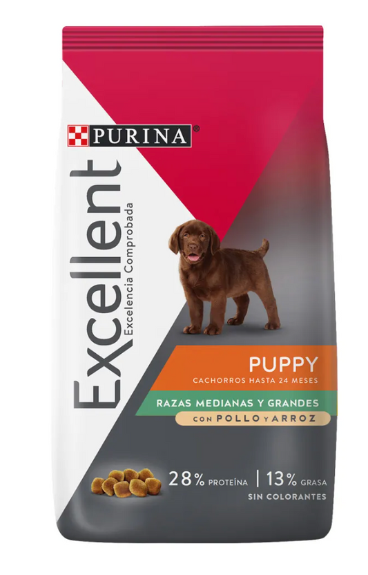 Excellent cachorro razas medianas