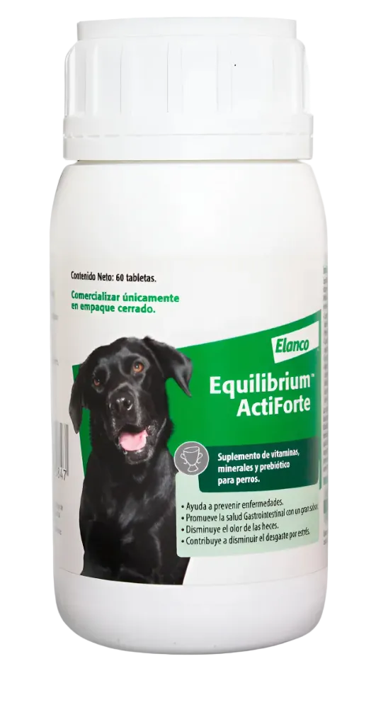 Equilibrium Actiforte Con Vitaminas, Minerales Para Perro - Cani Delights