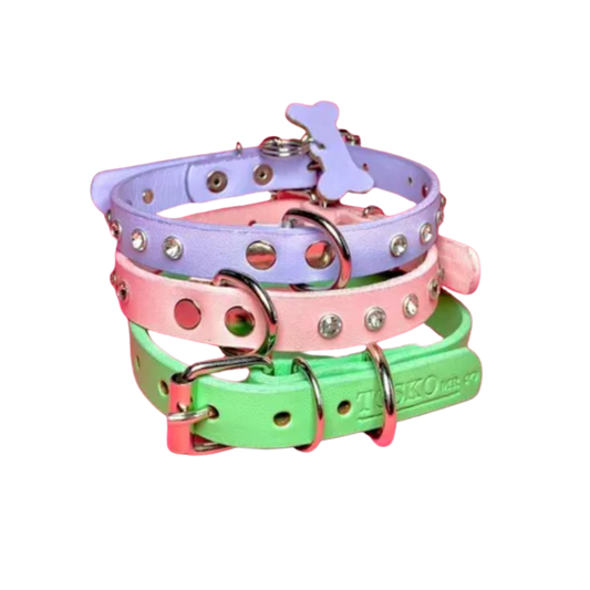 TOSKO Collar de piel GRUESO de colores con hebilla en acero inoxidable