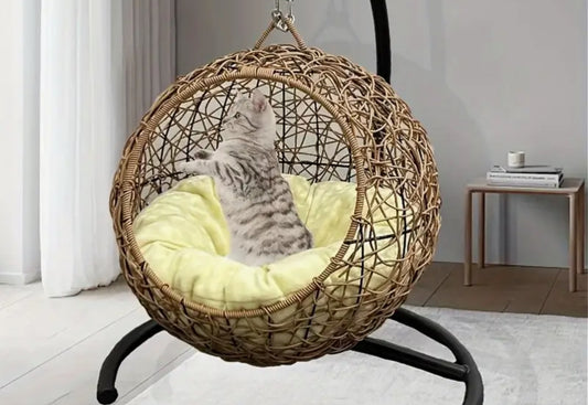 Esfera gato cana