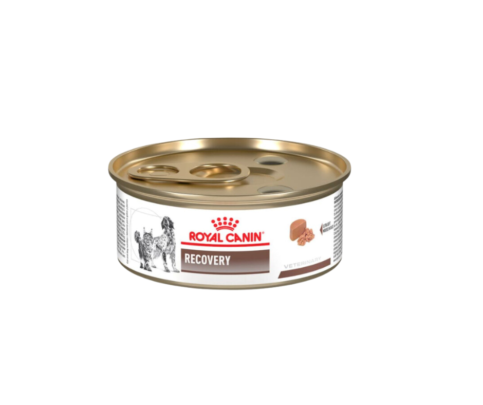 Royal Canin Recovery Lata - Cani Delights