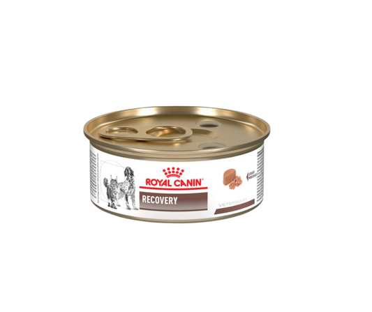 Royal Canin Recovery Lata - Cani Delights