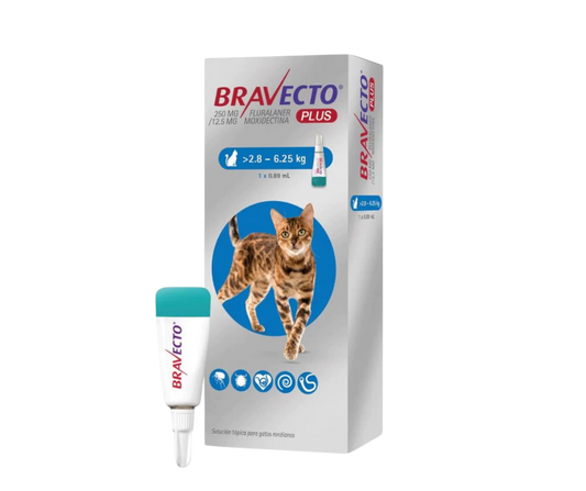 Bravecto Gatos MSD Pipeta 2.8-6.25kg