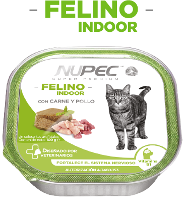 Nupec Indoor alimento húmedo