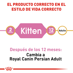 Royal Canin Felino Persian Kitten - Cani Delights