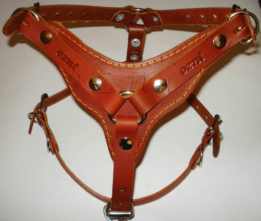 Pechera de Piel