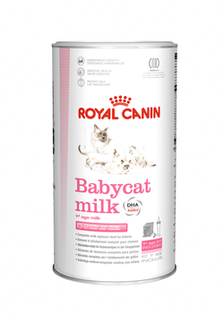 Royal Canin BabyCat Milk - Cani Delights