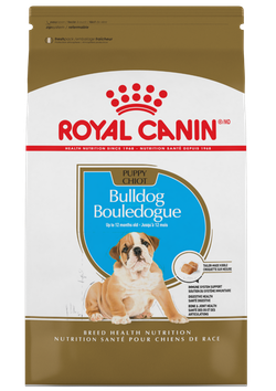 Royal Canin Bulldog Inglés Puppy - Cani Delights