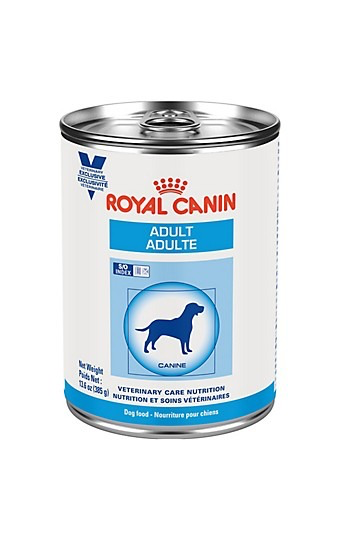 Royal Canin Adulto Lata - Cani Delights