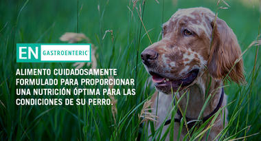 Proplan Veterinaria EN lata canino - Cani Delights