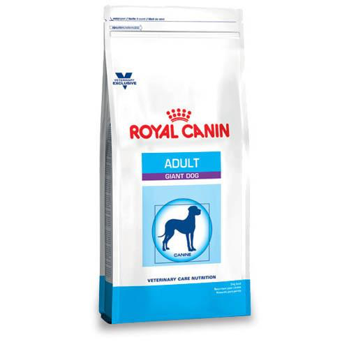 Royal Canin Adult Giant - Cani Delights