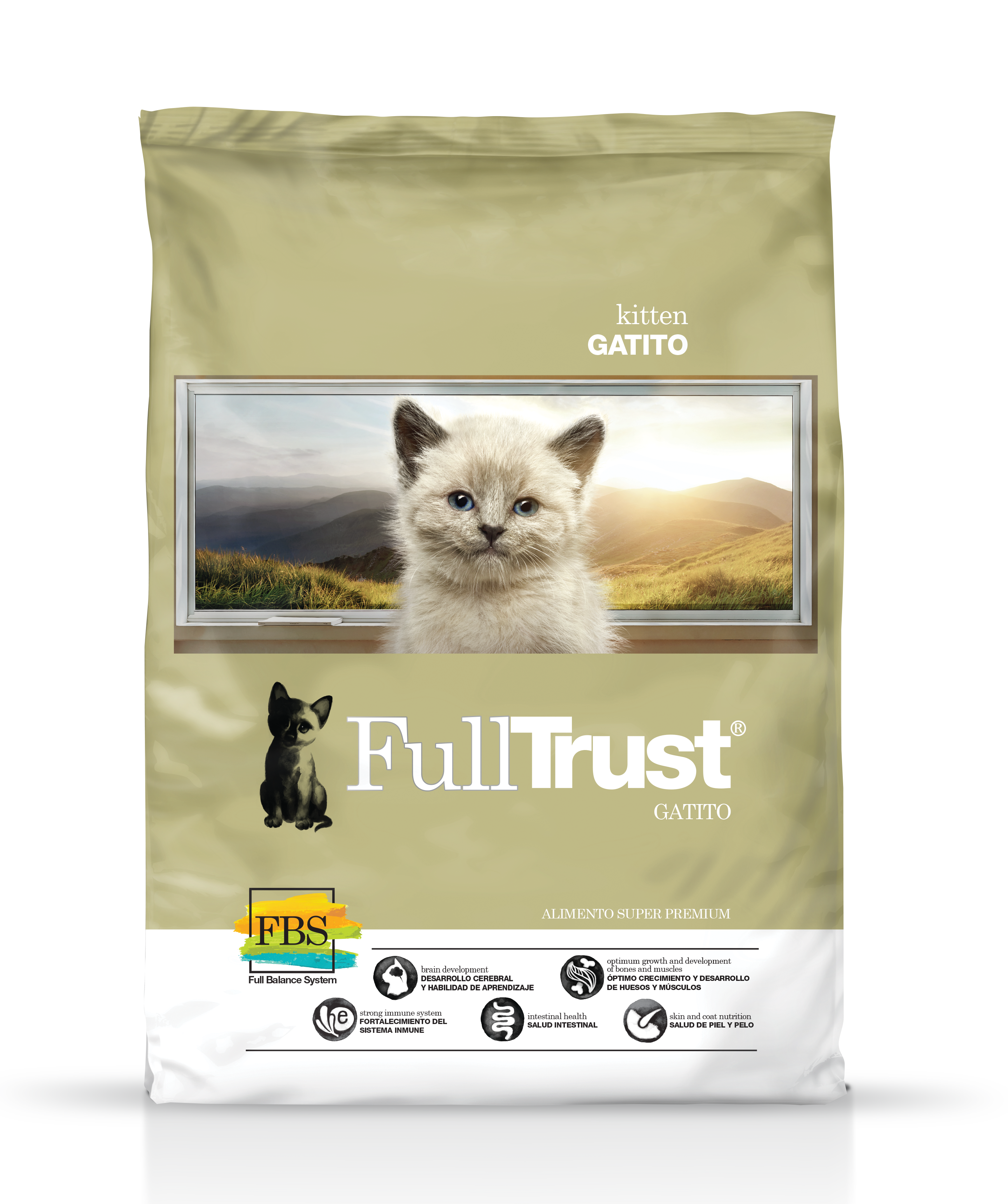 Full trust kitten felino