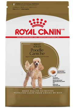 Royal Canin Poodle Adulto - Cani Delights