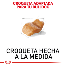 Royal Canin Bulldog Ingles Adulto - Cani Delights