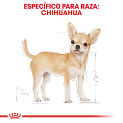 Royal Canin Chihuahua Adulto - Cani Delights
