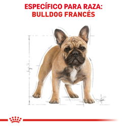 Royal Canin French Bulldog Adulto - Cani Delights