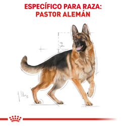 Royal Canin German Shepherd - Cani Delights
