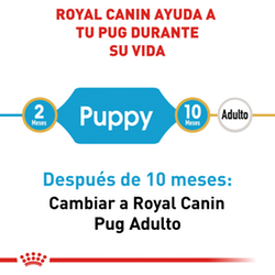 Royal Canin Pug Puppy - Cani Delights
