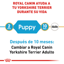 Royal Canin Yorkshire Puppy - Cani Delights