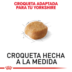 Royal Canin Yorkshire Adulto - Cani Delights