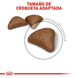 Royal Canin Felino Indoor Intense Hairball - Cani Delights