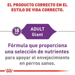 Royal Canin Giant Adult - Cani Delights