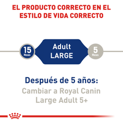 Royal Canin Large Adult - Cani Delights