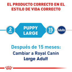 Royal Canin Large Puppy - Cani Delights