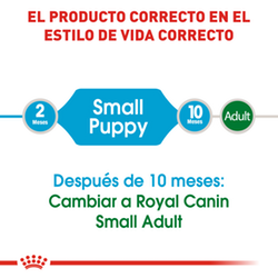 Royal Canin Small Puppy - Cani Delights