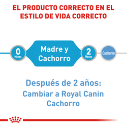 Royal Canin Starter Mousse Lata - Cani Delights