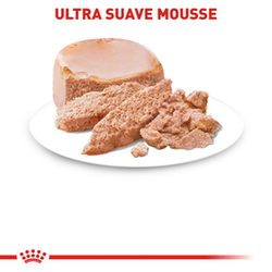 Royal Canin Starter Mousse Lata - Cani Delights