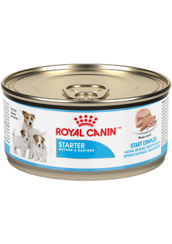 Royal Canin Starter Mousse Lata - Cani Delights